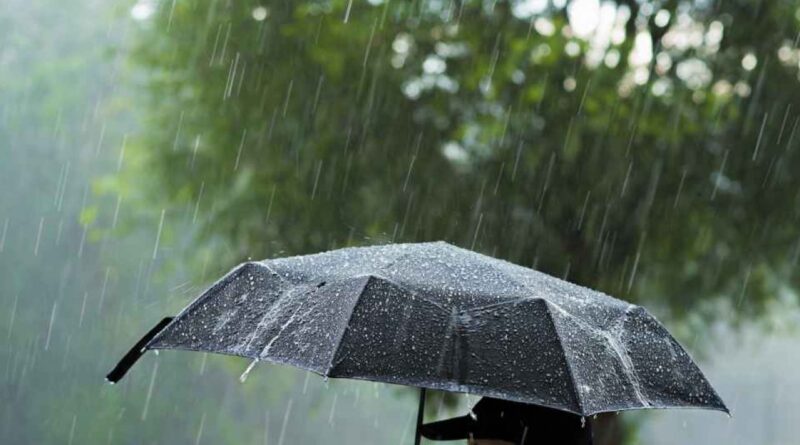 Dobrogea este cea mai ploioasă lună iunie din istoria măsurătorilor meteorologice